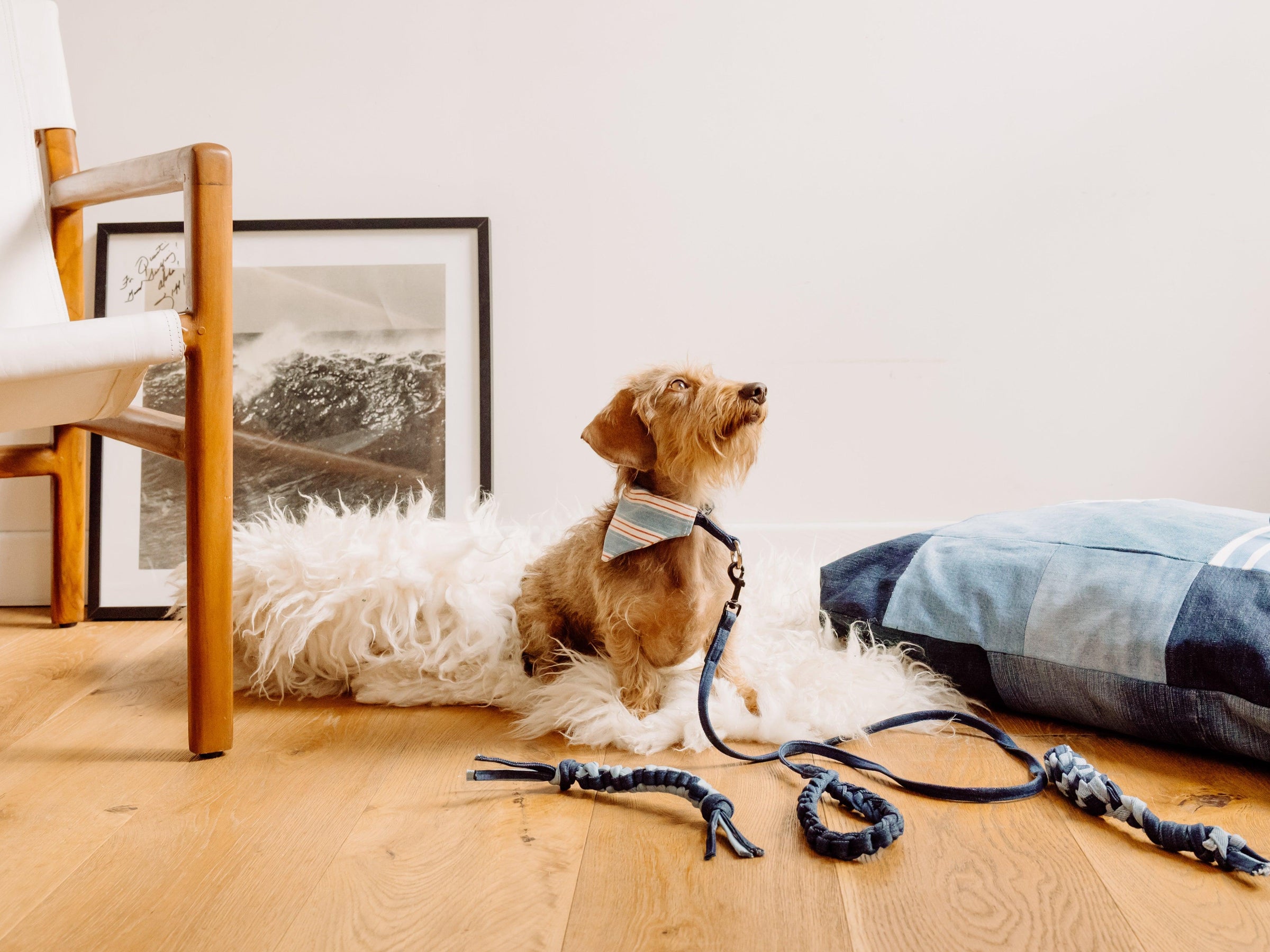 Pet sa mère - Debongout