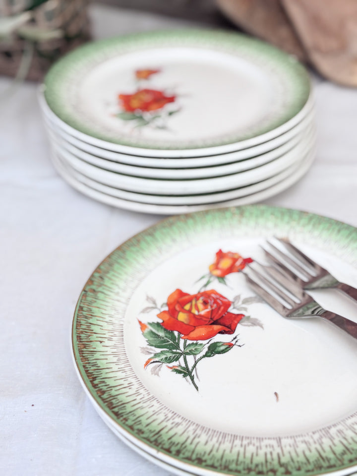 43lotde6assiettesvertes-2.jpg
