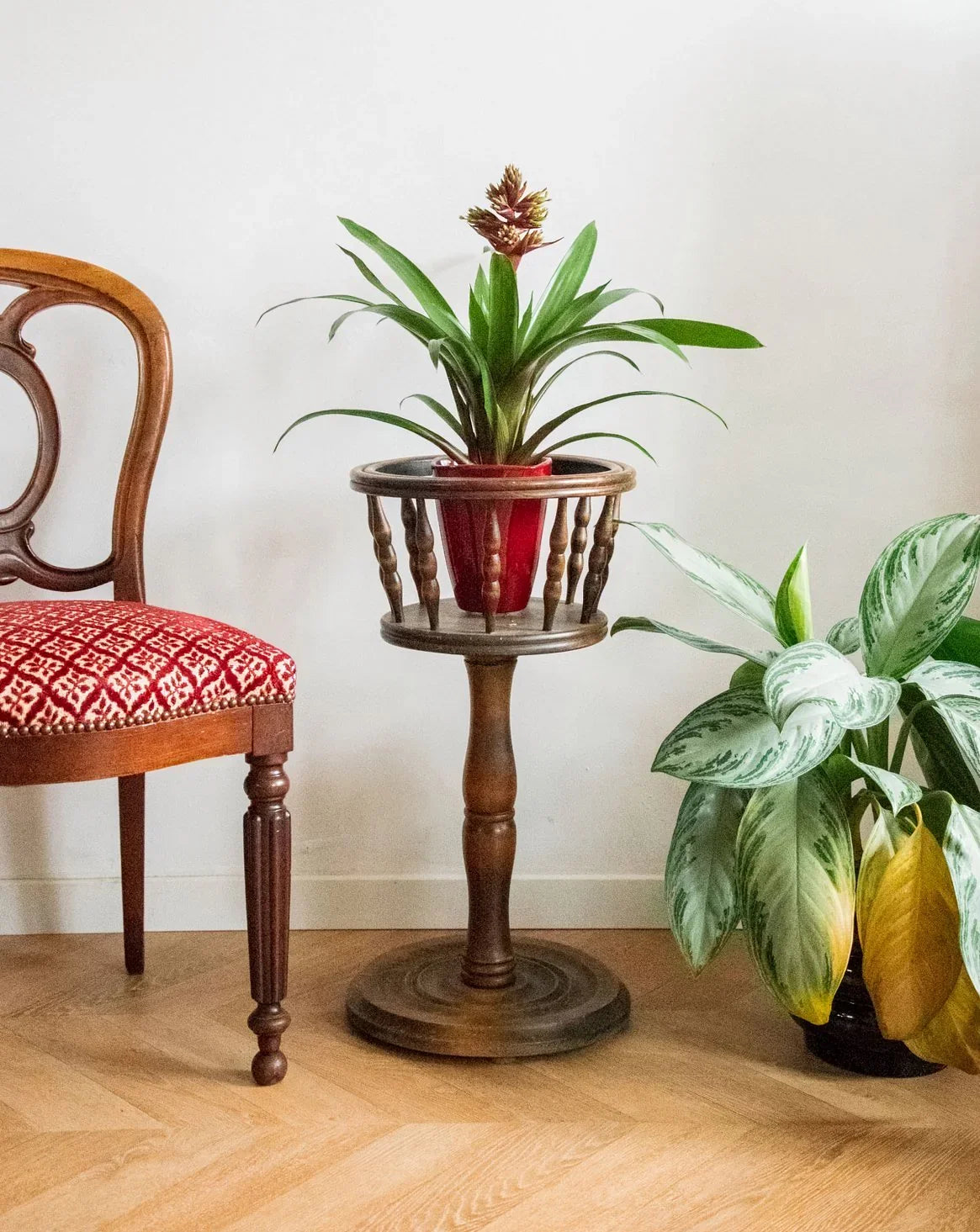 antique wooden plant stands indoor Ariel, the dark wood plant stand No. 479 – Debongout