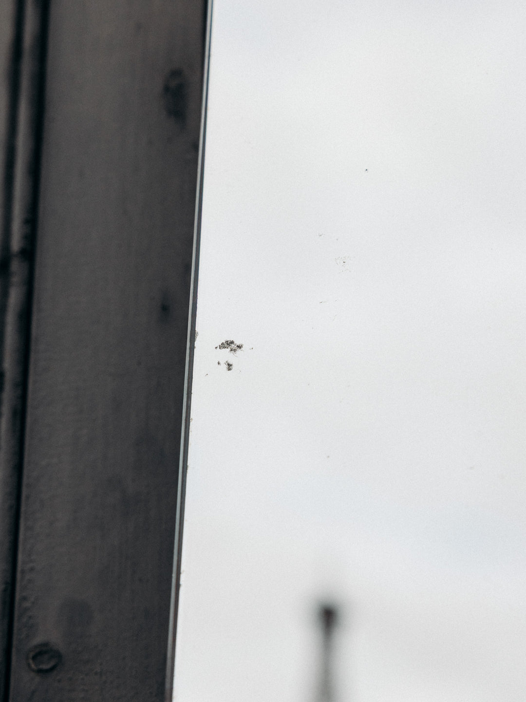 B-ISABELLE-211025-15_7.jpg