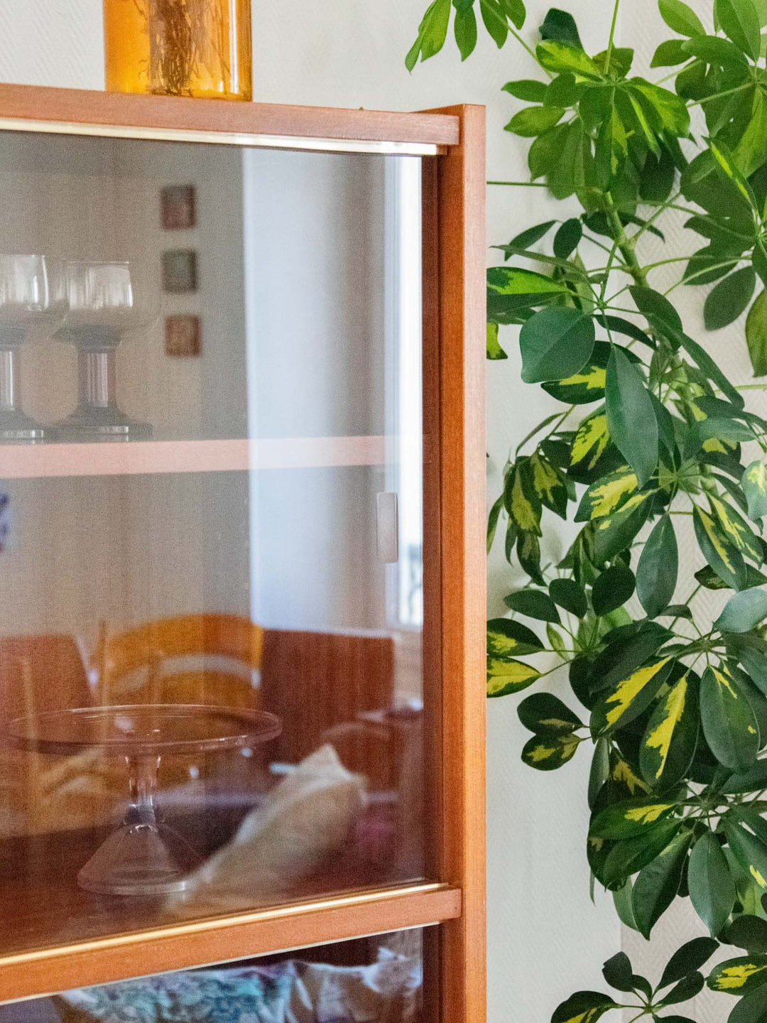 victoria-vitrine-bois-178-5