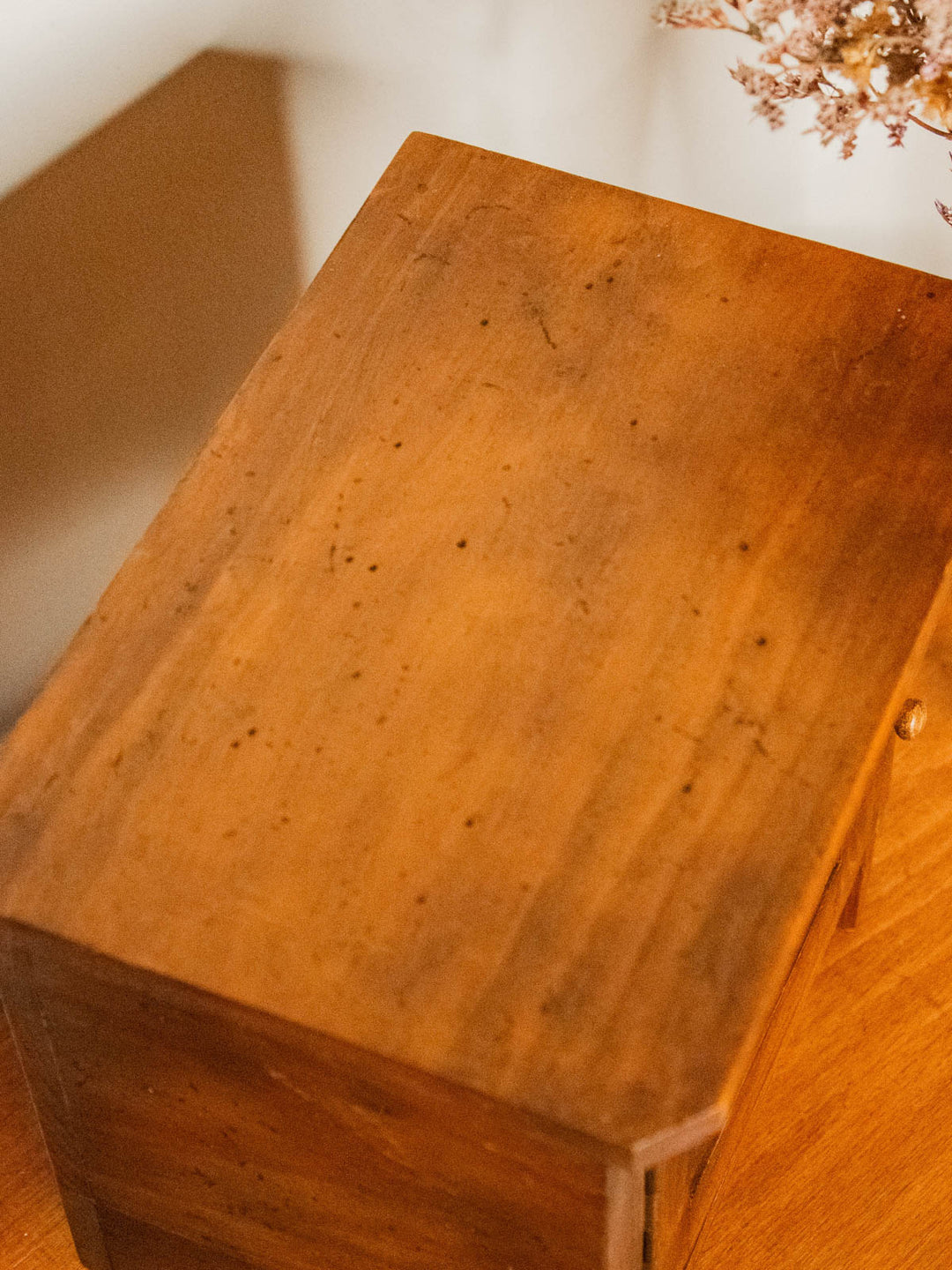 guy-garde-manger-bois-27-6