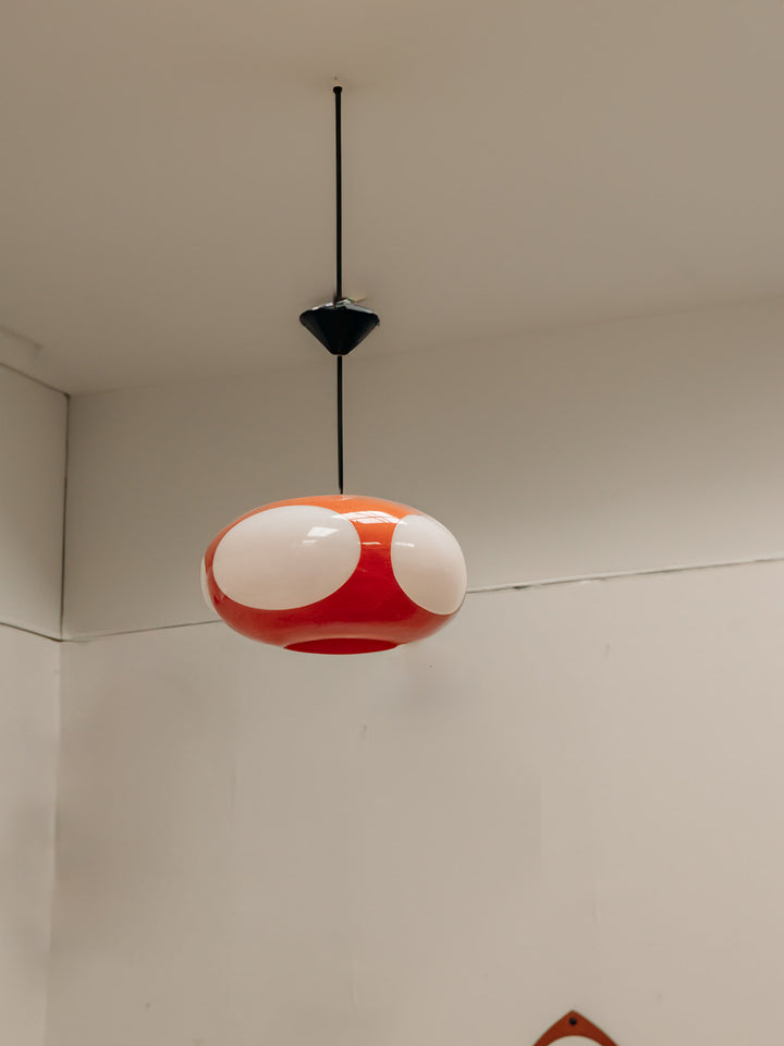 4U3A5778-Modifier_Debongout-maison-ideco-22-07-25_027suspensionchampignon_0223.jpg