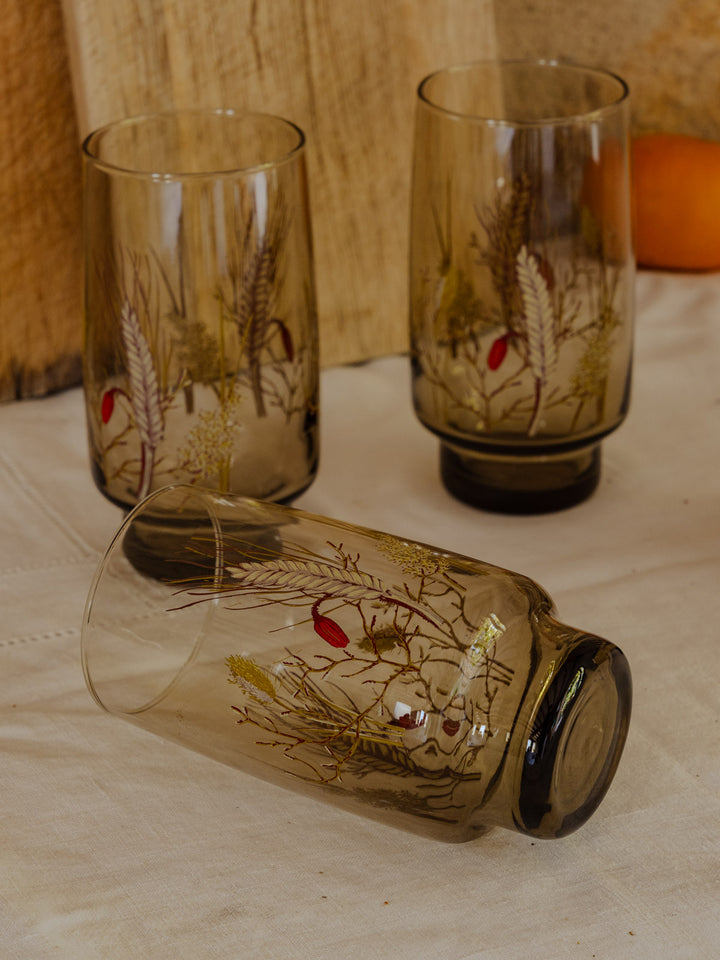eugene-lot-verres--verre-230-5
