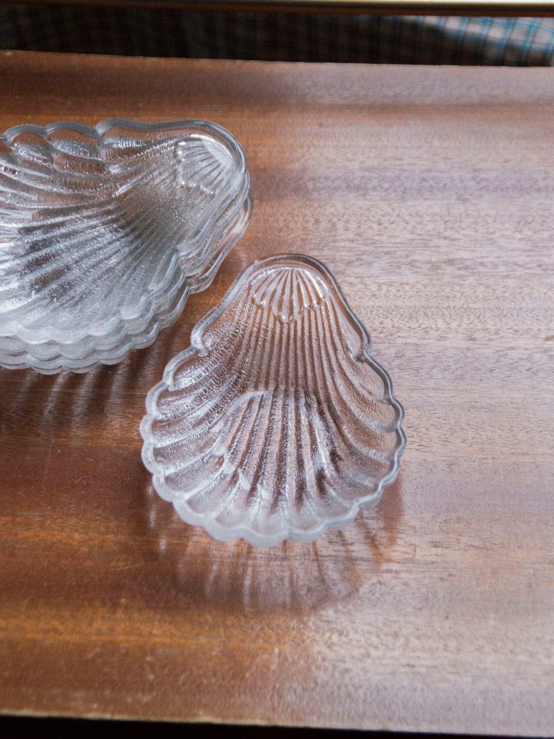 nestor-service-vaisselle-coquillage-535-4