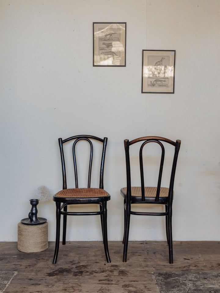 claude-chaise-bois-965-3