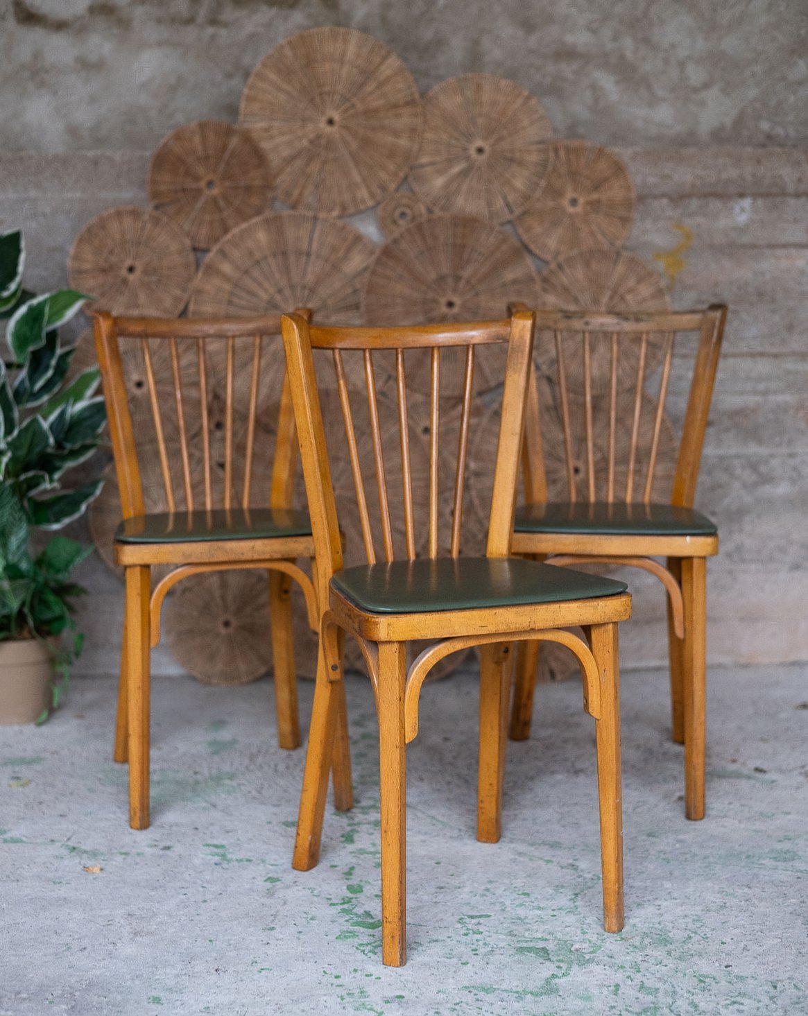 alma-chaise-bois-baumann-2044-1