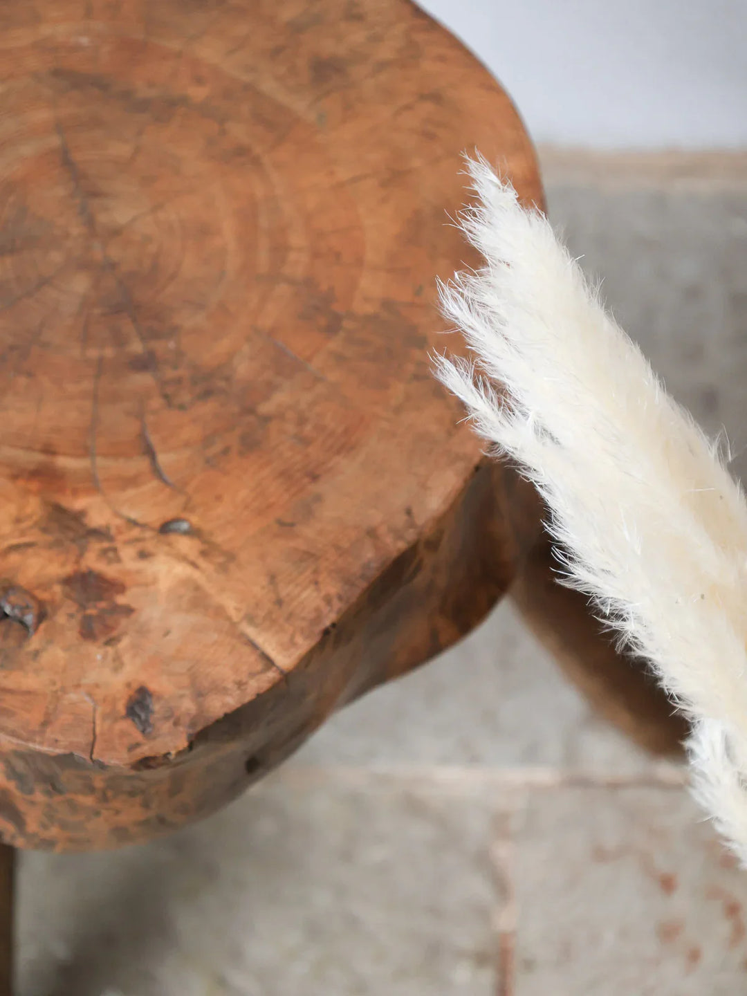 regis-tabouret-bois-851-7