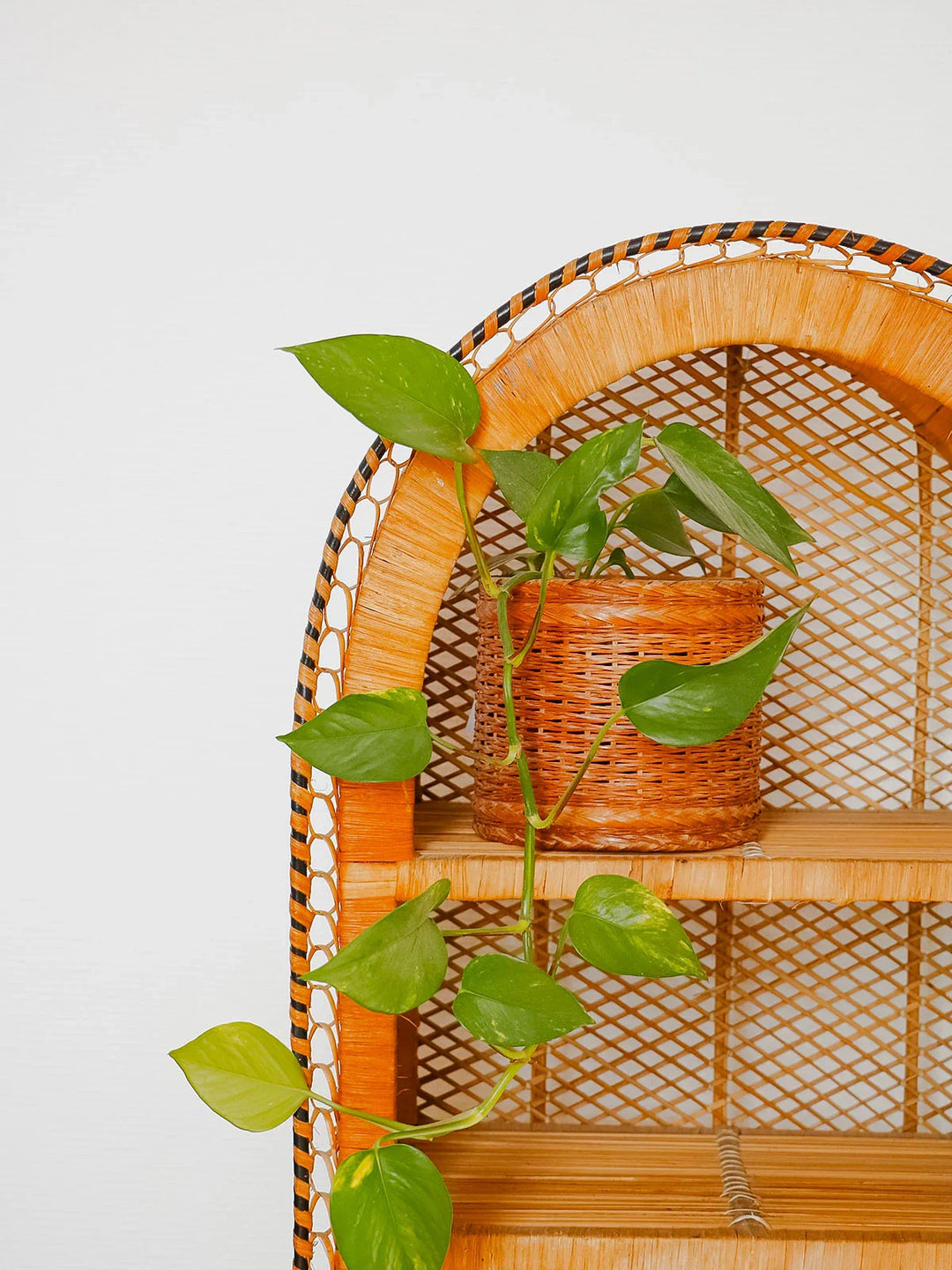 madeleine-bibliotheque-osier-698-5