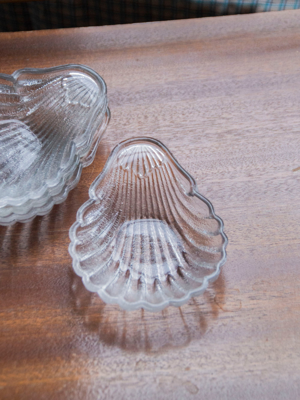 nestor-service-vaisselle-coquillage-535-2