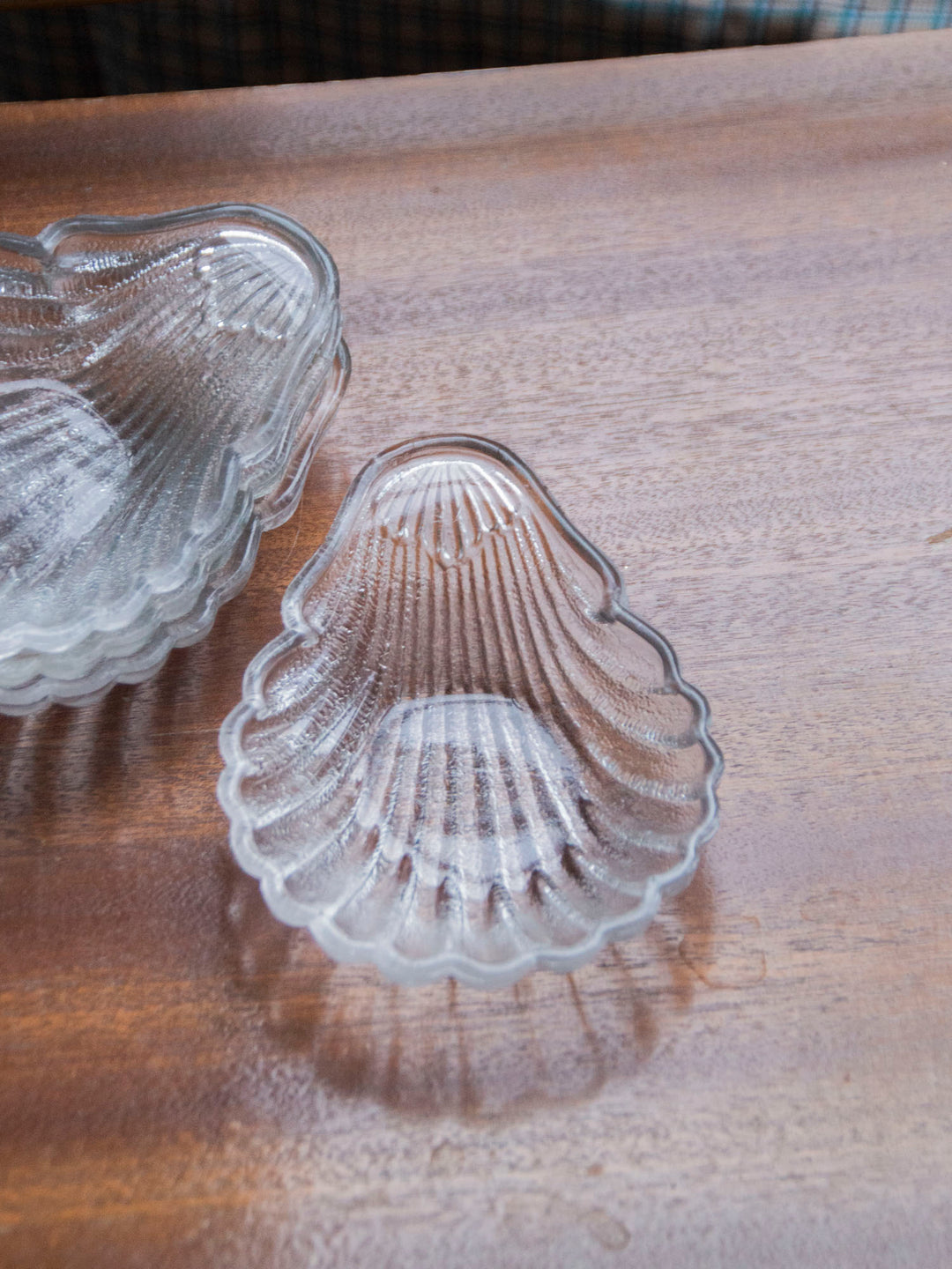 nestor-service-vaisselle-coquillage-535-2