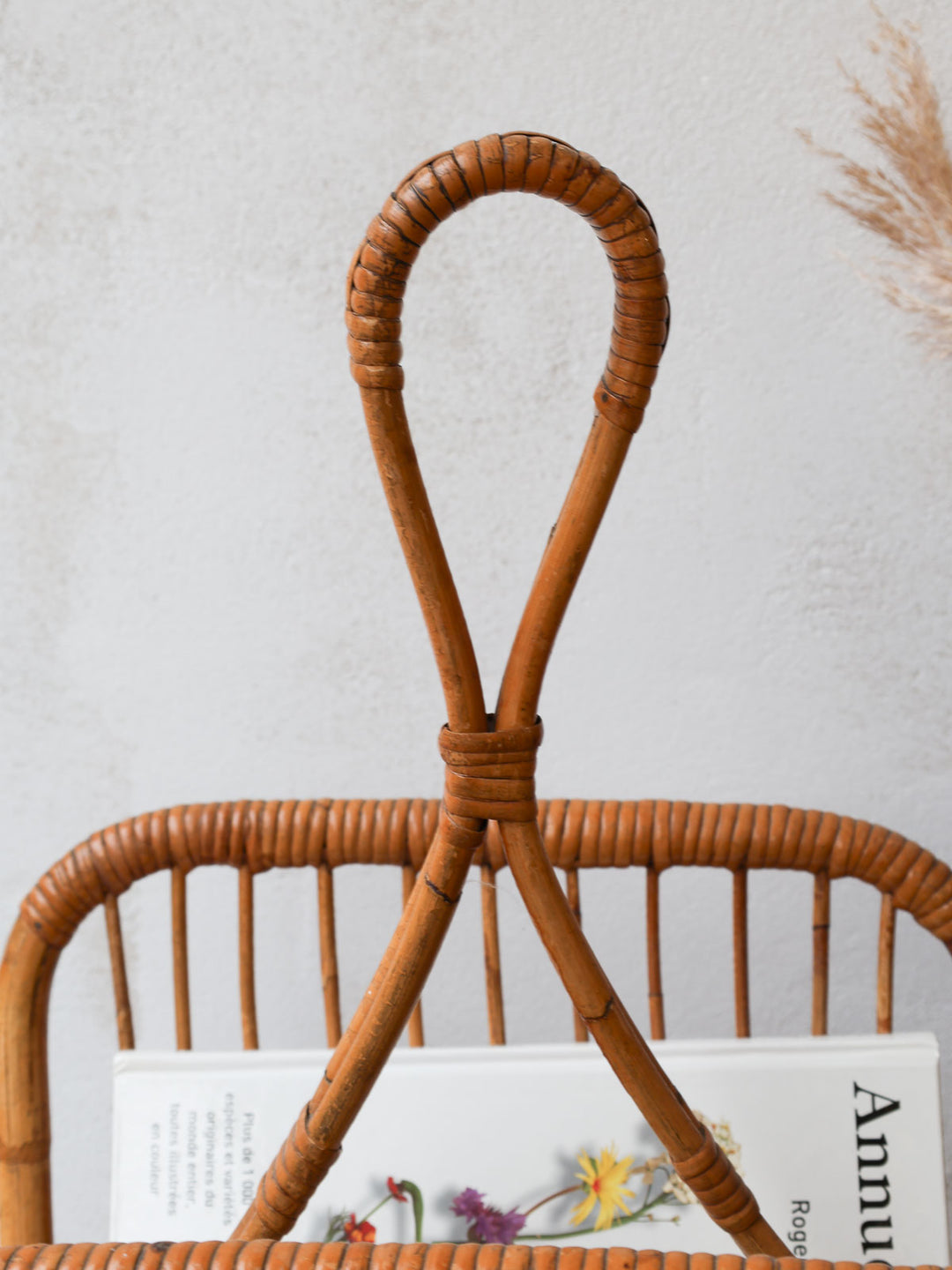 desire-porte-revue-rotin-148-5