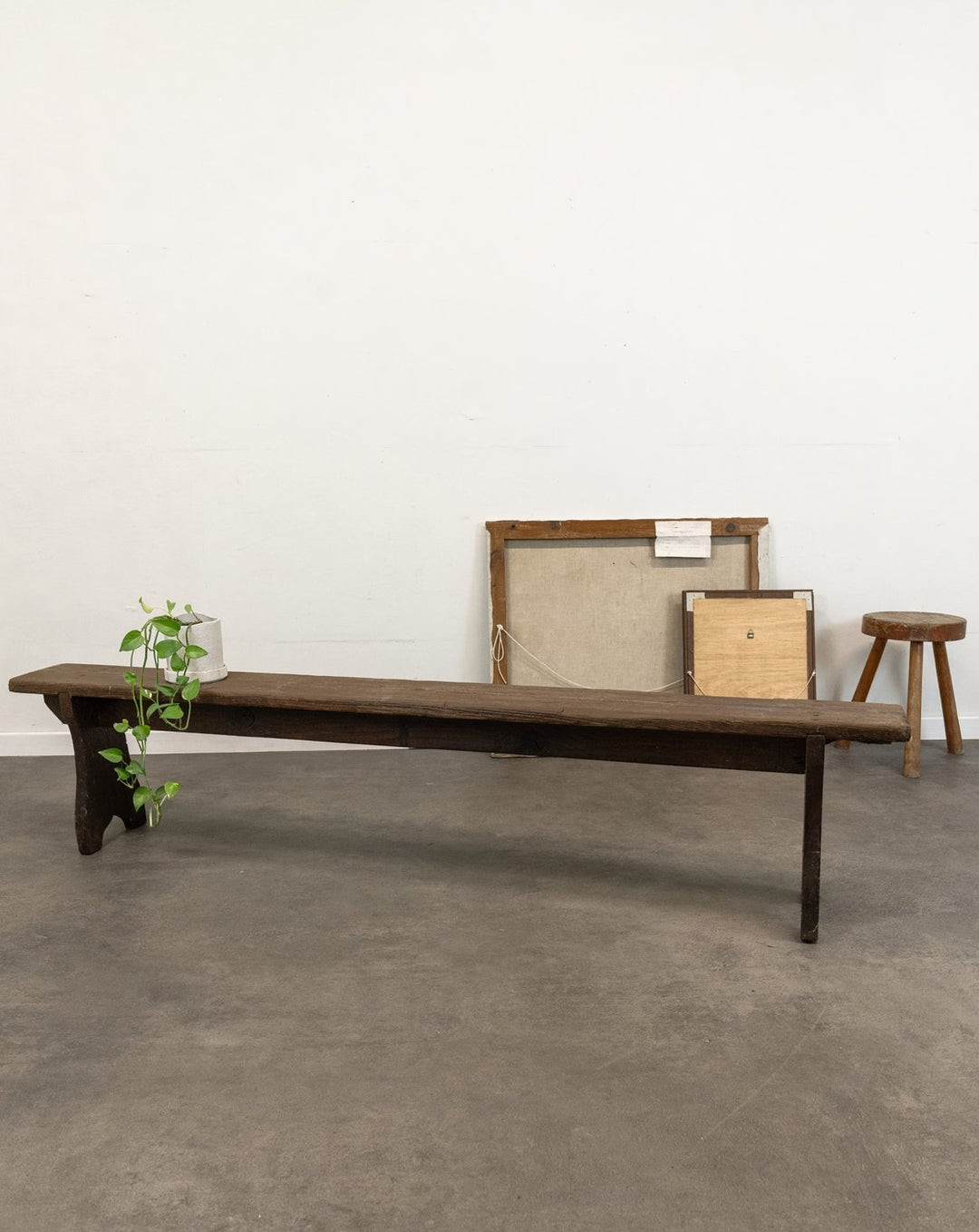 antoine-banc-sapin-454-1