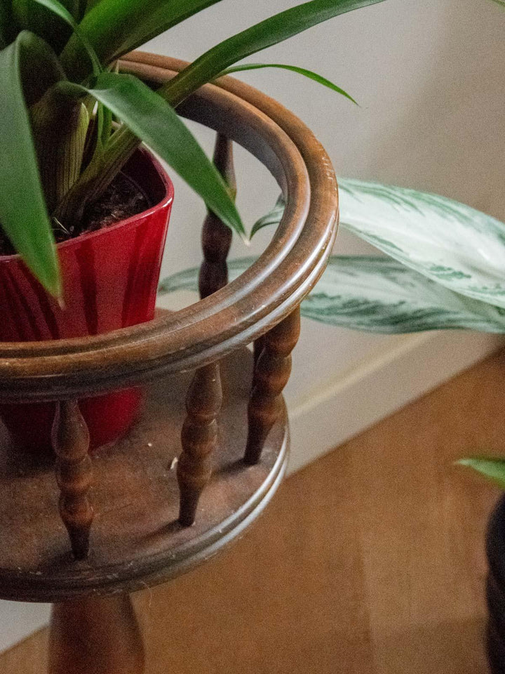 ariel-porte-plante-bois-479-3