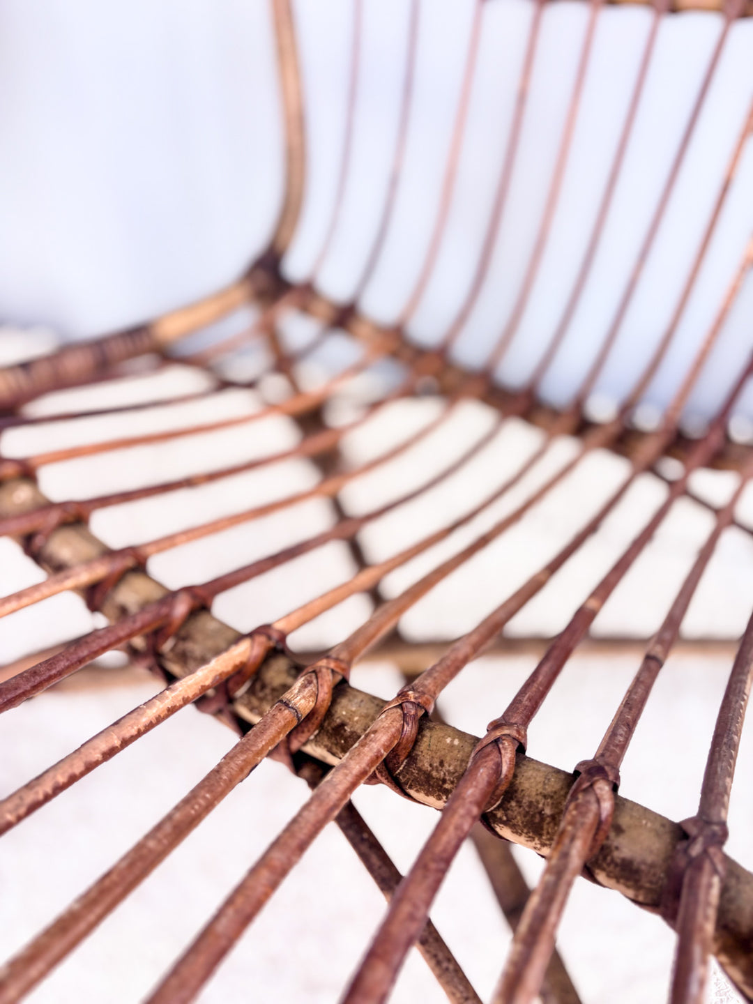 23fauteuilcoquilleX3-5.jpg