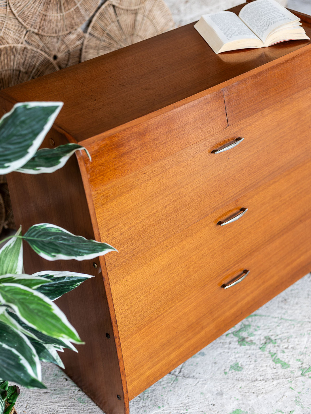 gustave-buffet-bois-1645-6