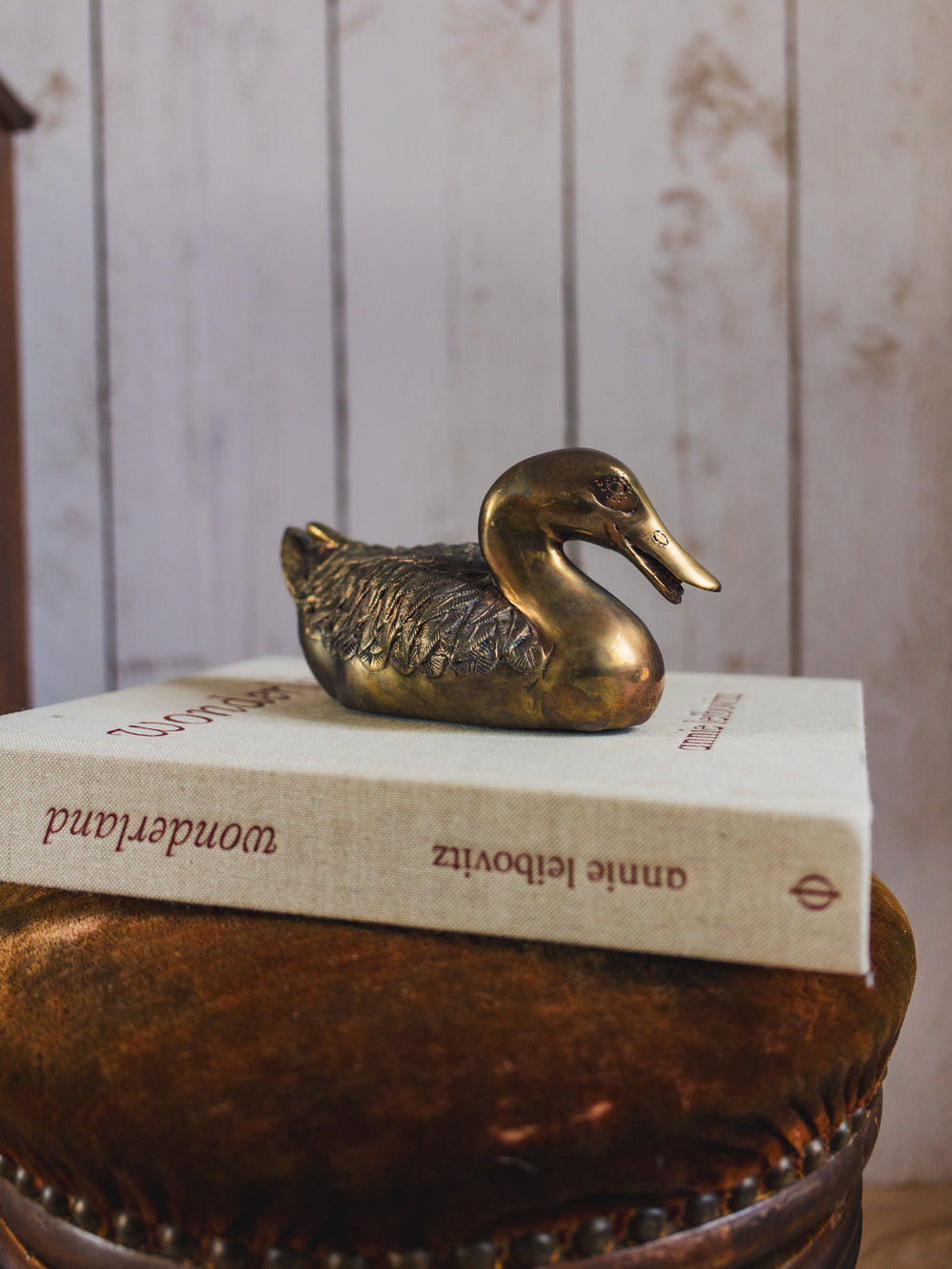 alix-decoration-bronze-554-2