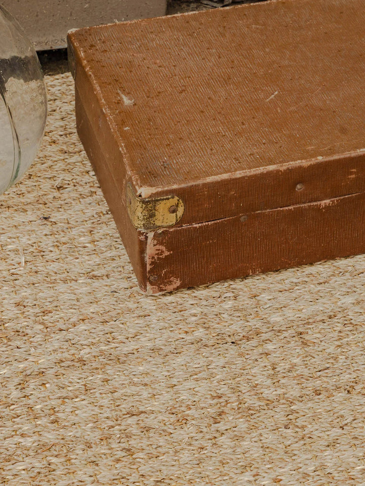 lucienne-malle-bois-258-11