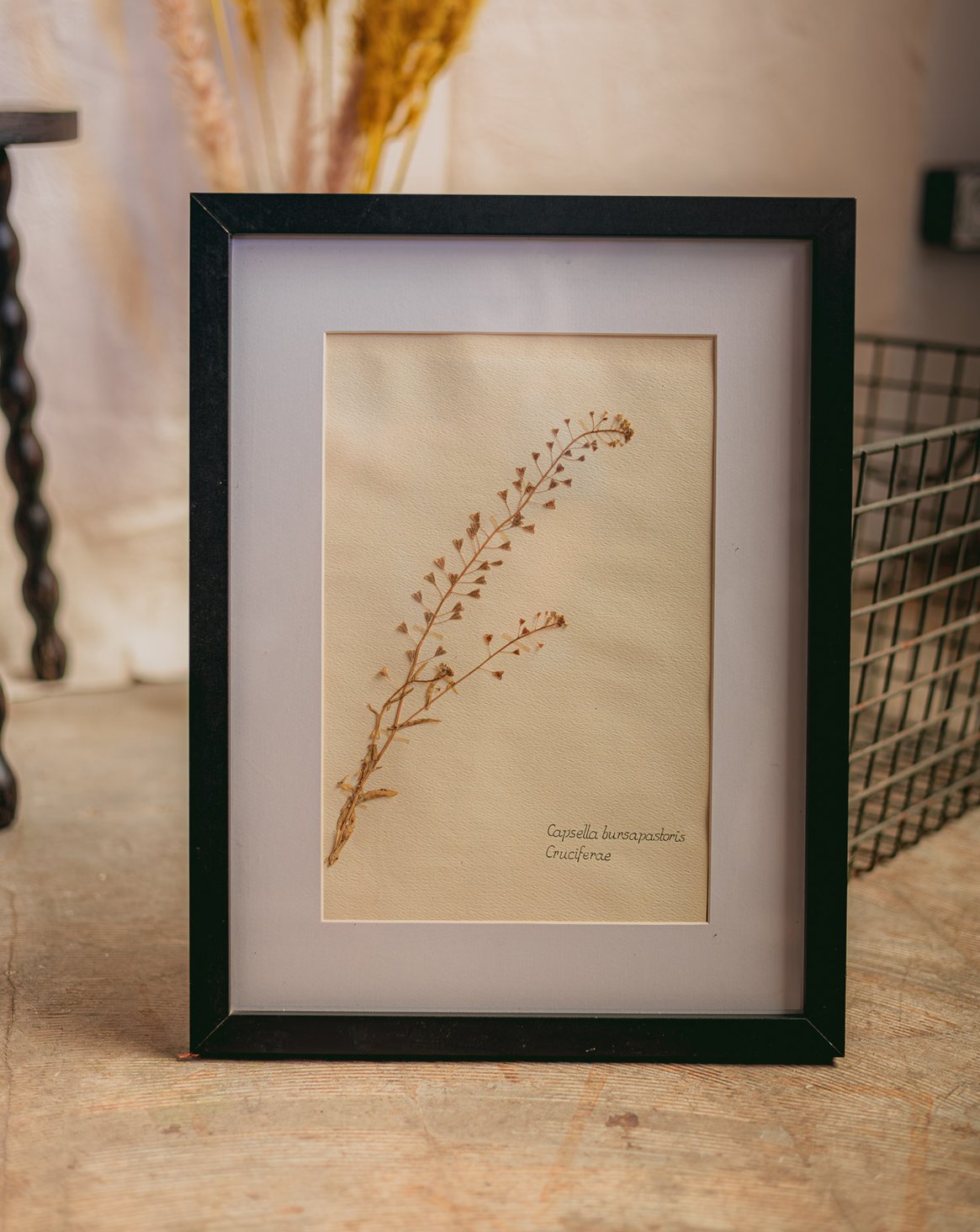 nina-herbier-425-1