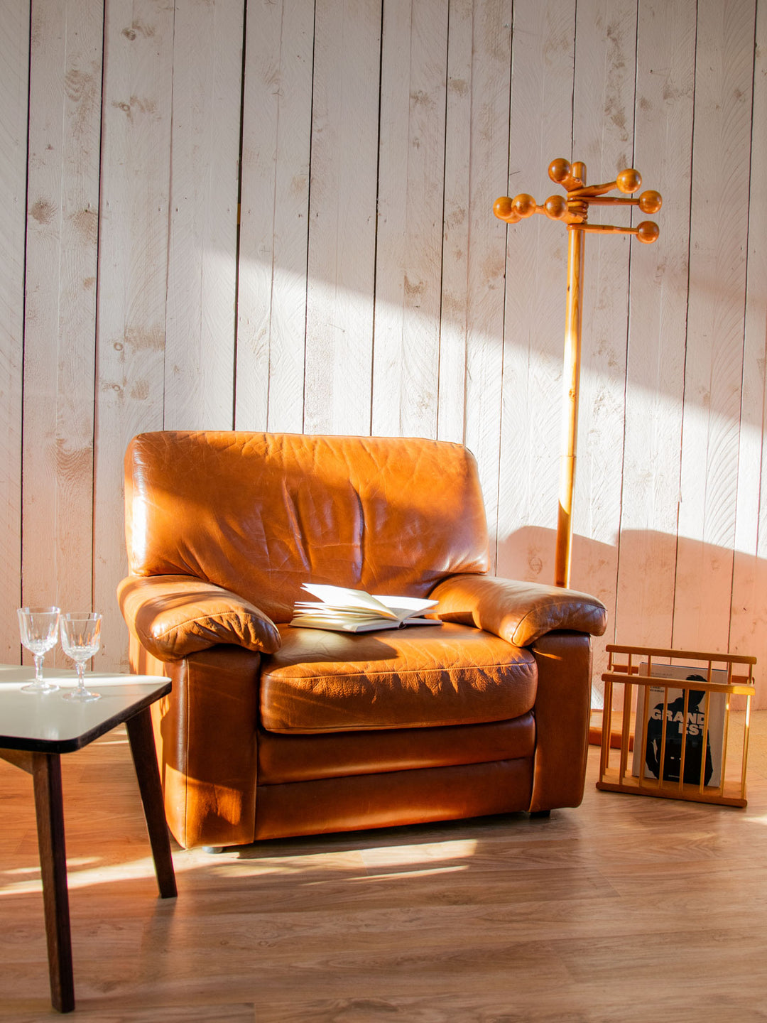 jakob-fauteuil-cuir-733-3