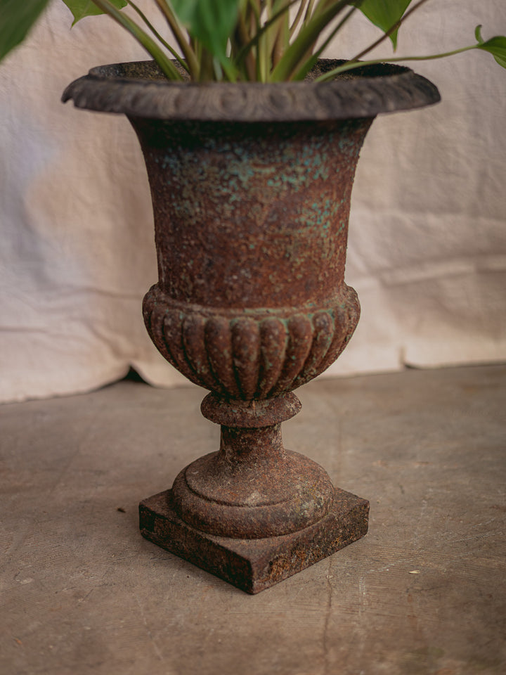 ariel-pot-medicis-fonte-546-3