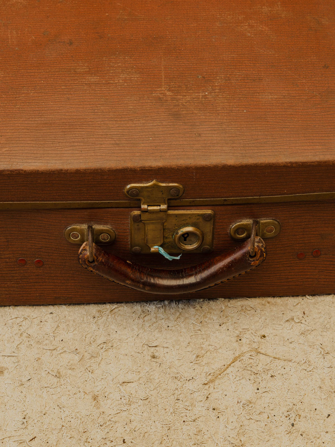 lucienne-malle-bois-339-8