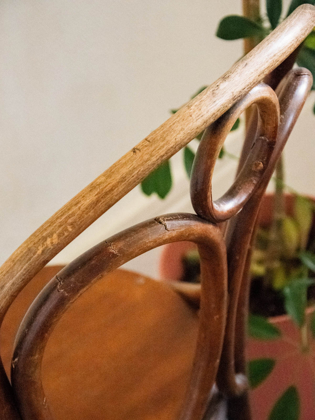 claude-chaise-bois-1040-4