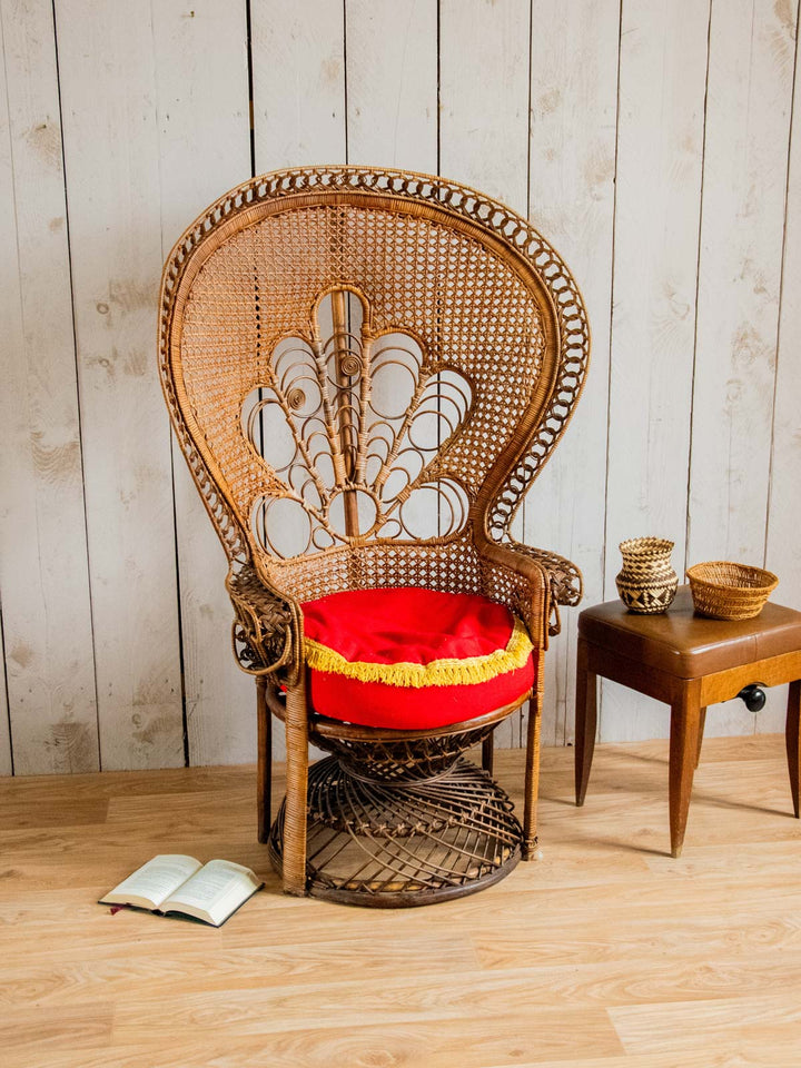 emmanuel-fauteuil-rotin-15-2