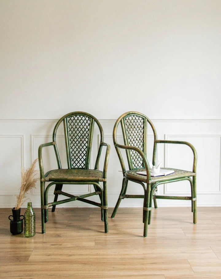 ernest-fauteuil-rotin-557-1