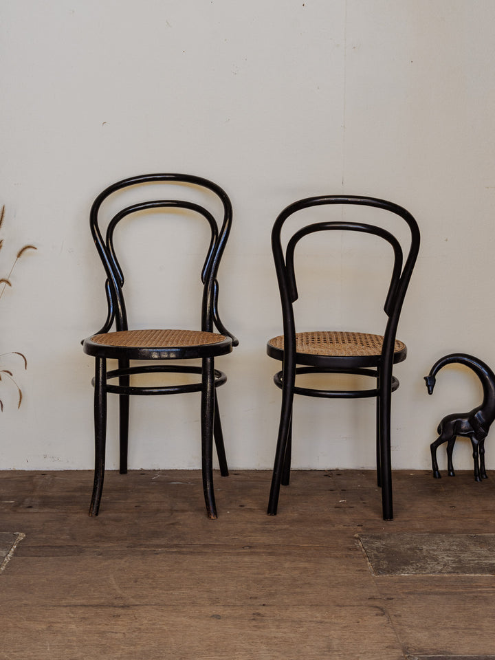 alma-chaise-bois-1363-6