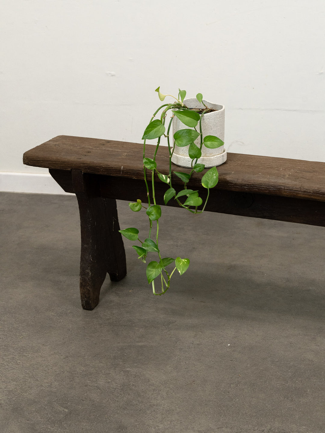 antoine-banc-sapin-454-2