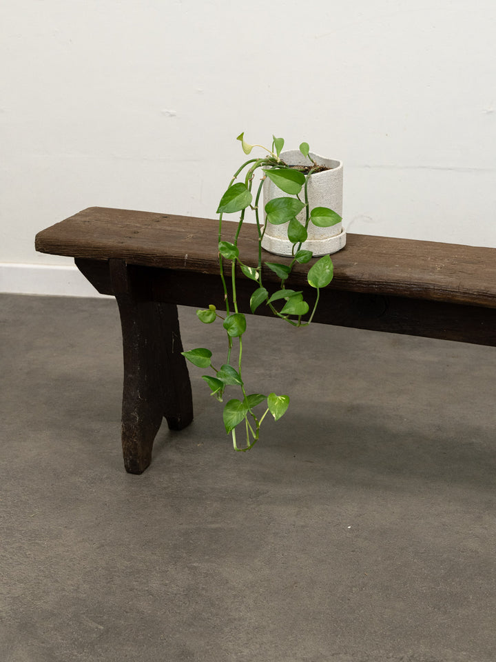 antoine-banc-sapin-454-2