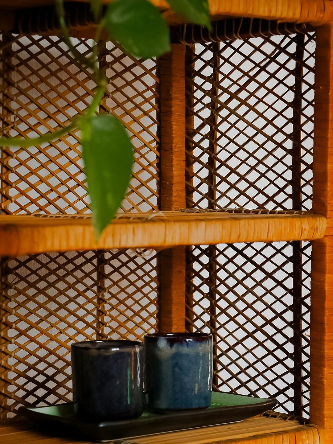 madeleine-bibliotheque-osier-698-7