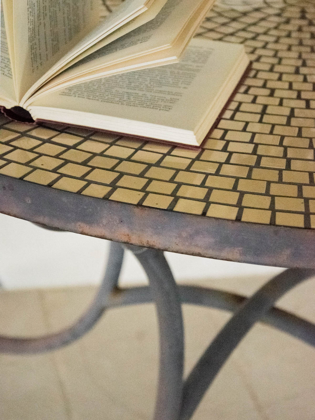 gisele-ensemble-jardin-metal-221-8