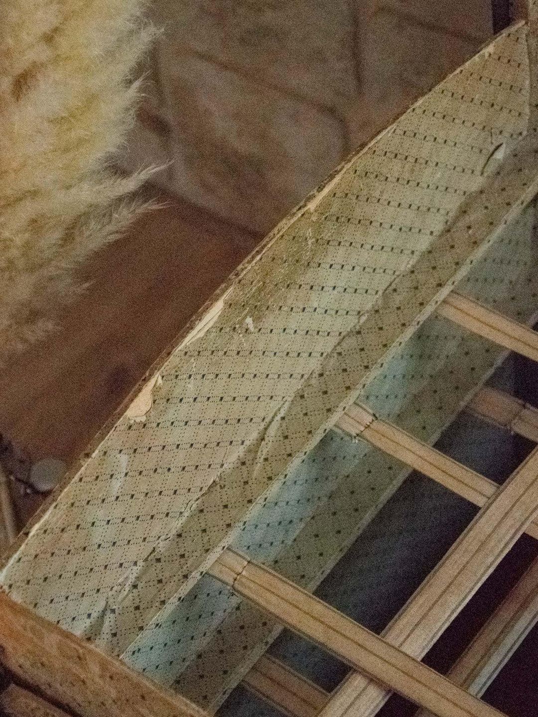 lucienne-malle-bois-214-10