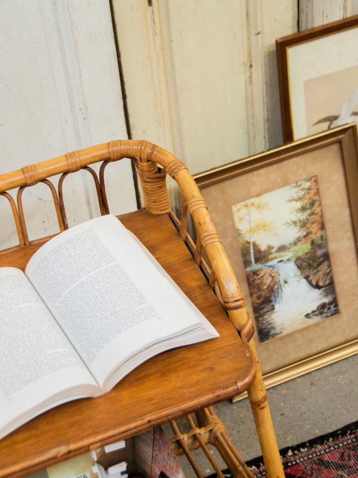 francine-table-appoint-rotin-569-12