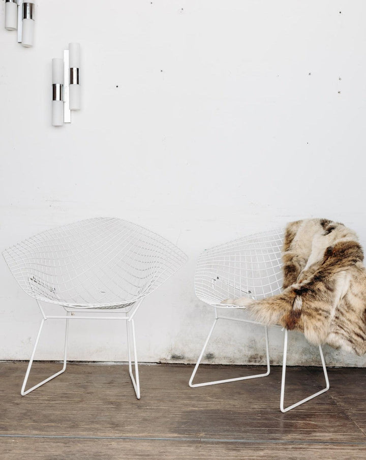 Jakob, the Bertoia metal armchair N°21