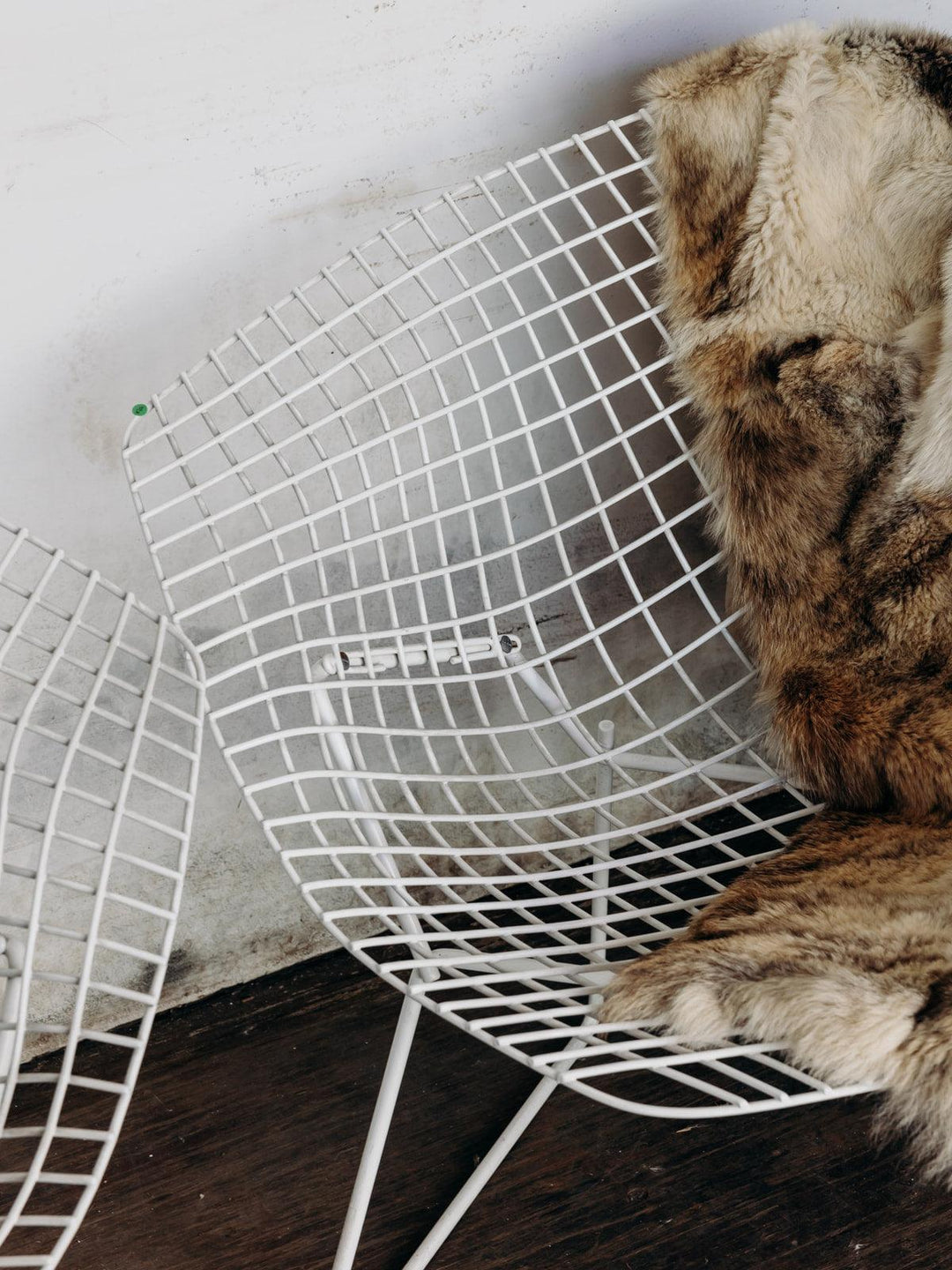 Jakob, le fauteuil en métal Bertoia N°21