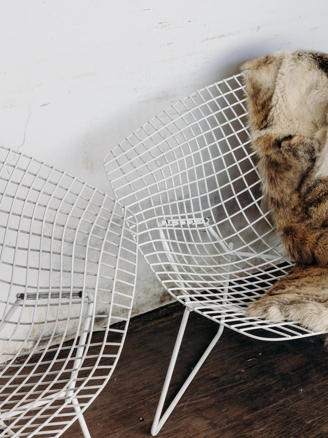 Jakob, the Bertoia metal armchair N°21