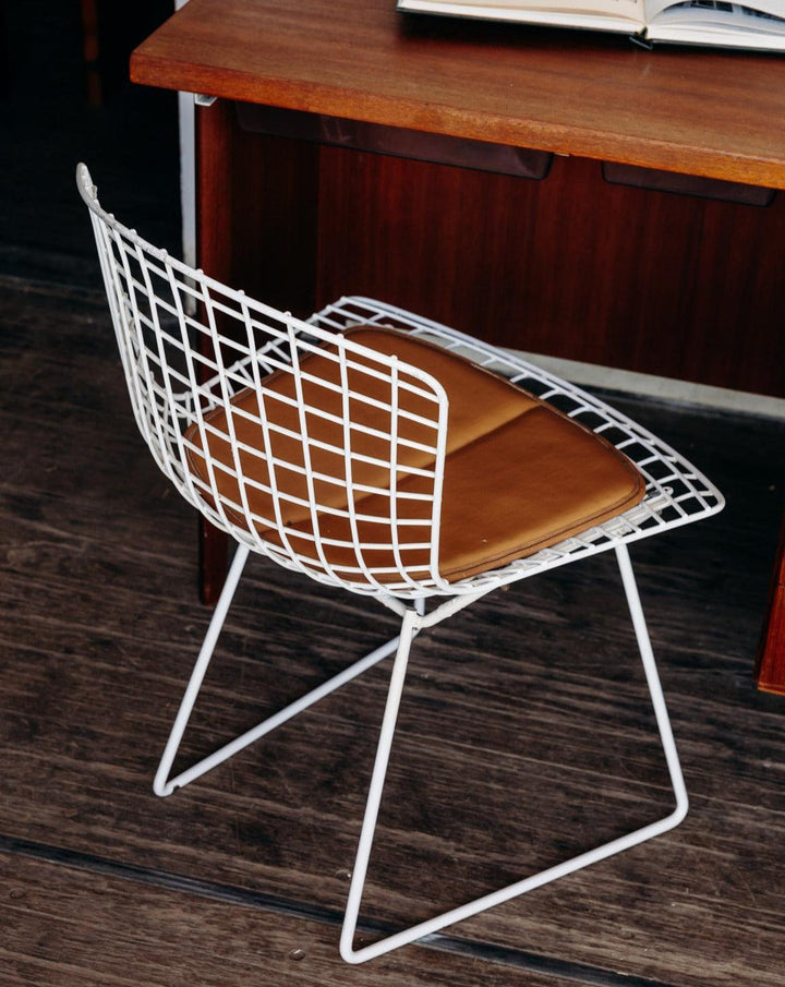 Diana, the Bertoia N°19 chair