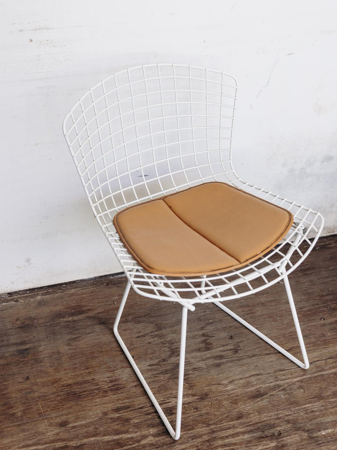 Diana, the Bertoia N°19 chair