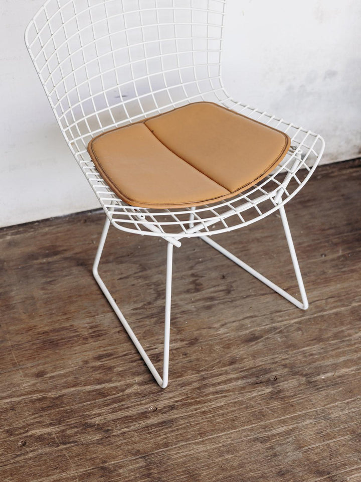 Diana, the Bertoia N°19 chair