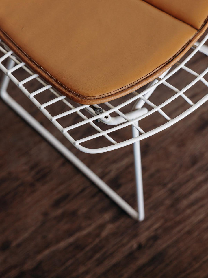 Diana, the Bertoia N°19 chair