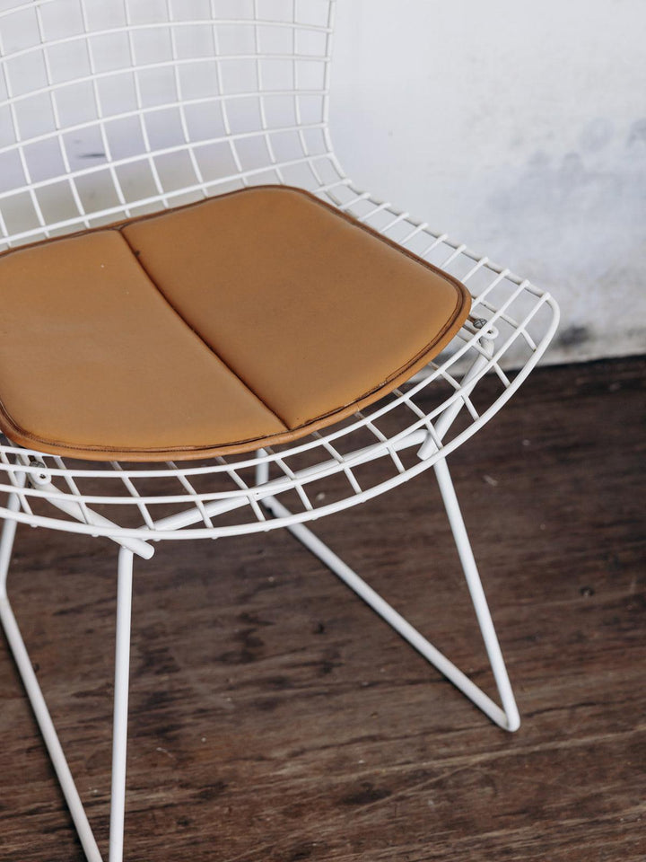 Diana, the Bertoia N°19 chair