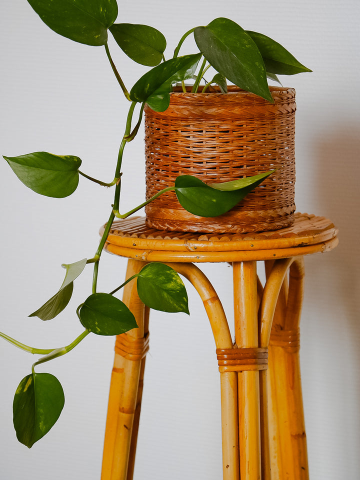 ariel-porte-plante-rotin-482-3