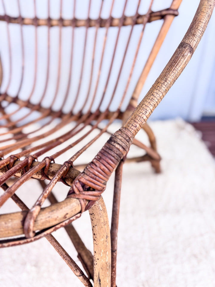 23fauteuilcoquilleX3-6.jpg