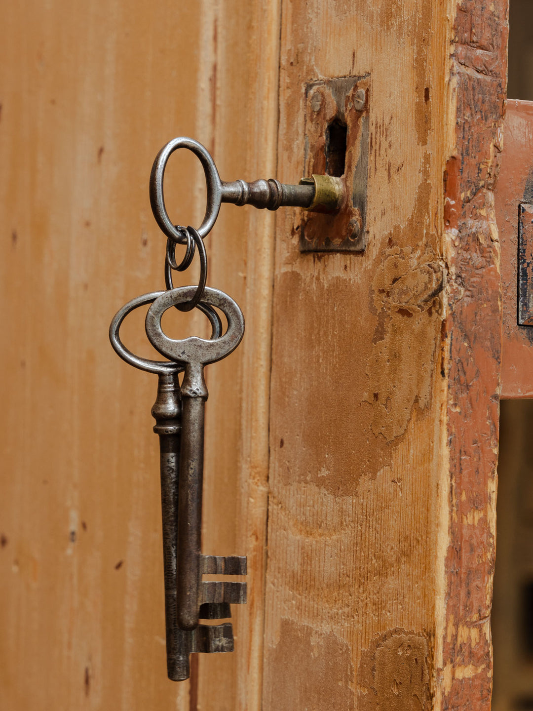 blandine-armoire-pin-170-4