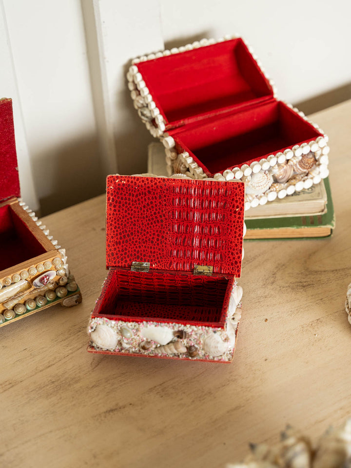 alix-decoration-coquillage-1195-12