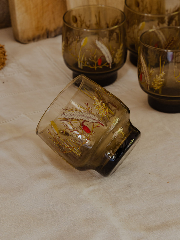 eugene-lot-verres--verre-231-5