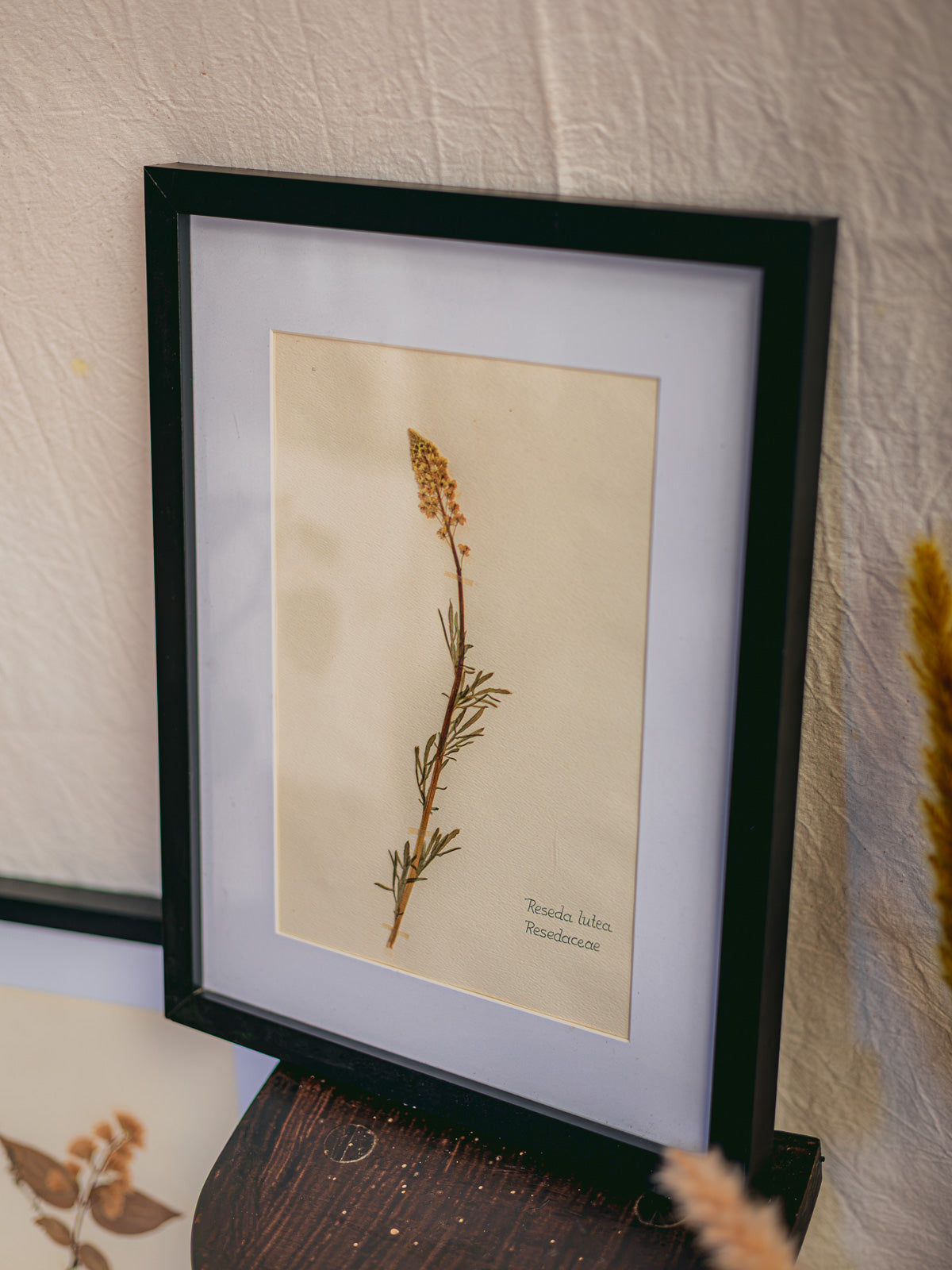 nina-herbier-426-2